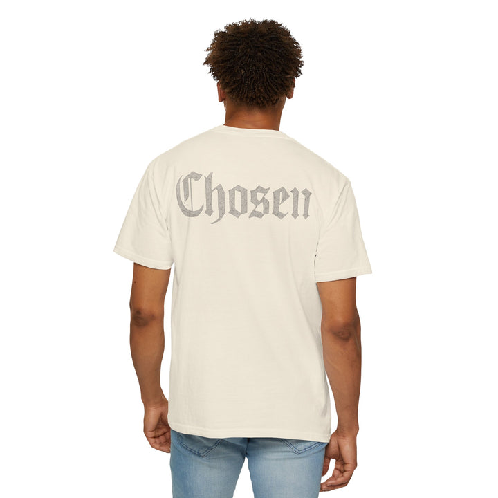 Ashen Wings